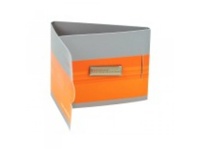 Юбилейный значок компании Audi 100 лет